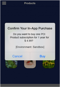 Apple-In-App-Purchase-208x300
