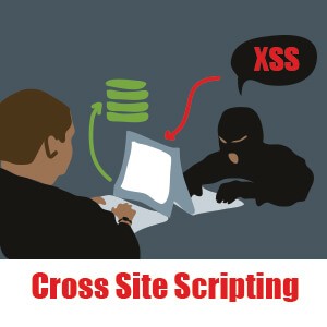 Cross-site-scripting_xss