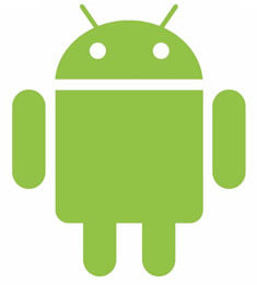 android31