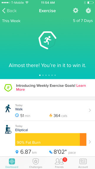 fitbit-1-1