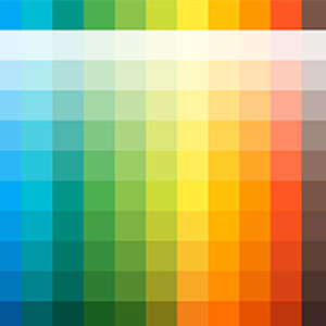 Vibrant Colors