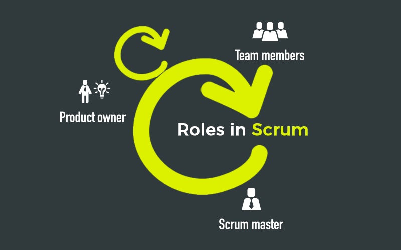 Role in Scrum