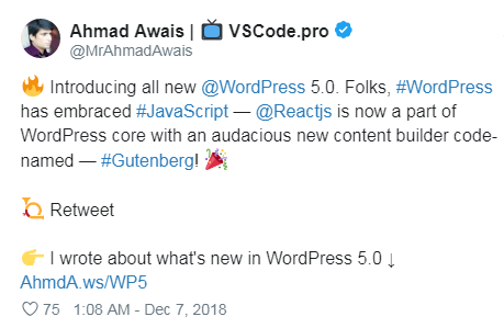 Ahmad Awais On WordPress 5.0